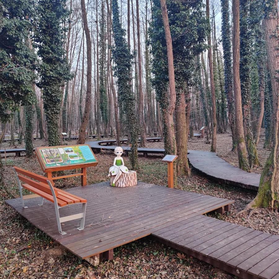 Orchidea Wellness Apartman Zalakaros Exteriör bild